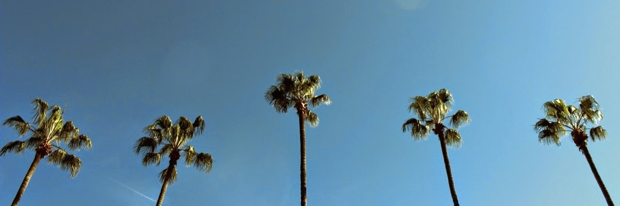 IvairFranklyn7's profile banner image