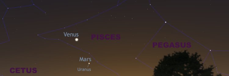 Tychobrain's profile banner image