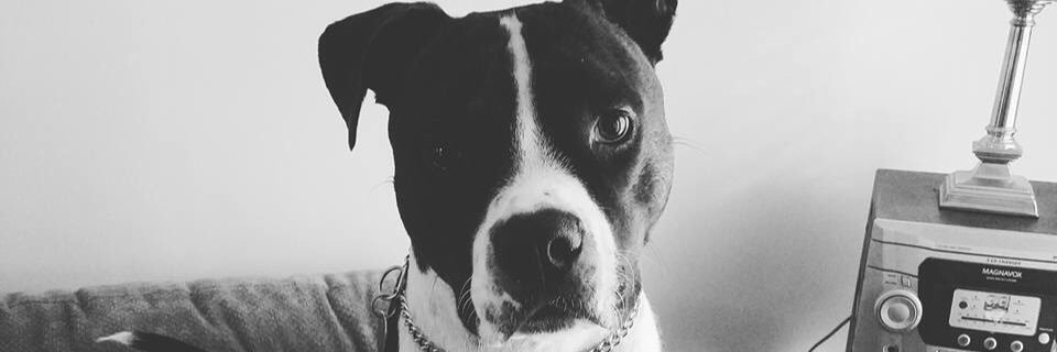 misstrigga_'s profile banner image