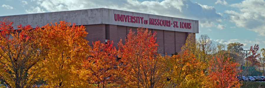 umsl's profile banner image