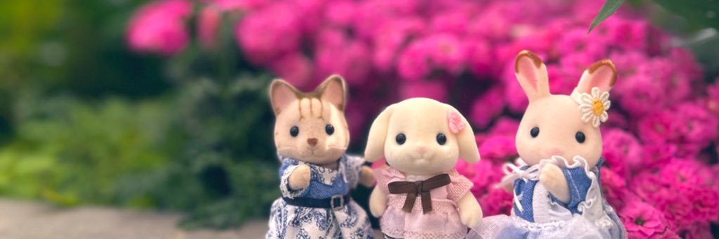 🫡とっきー🐰🥕 banner