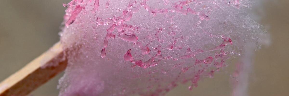 IcyZP's profile banner image