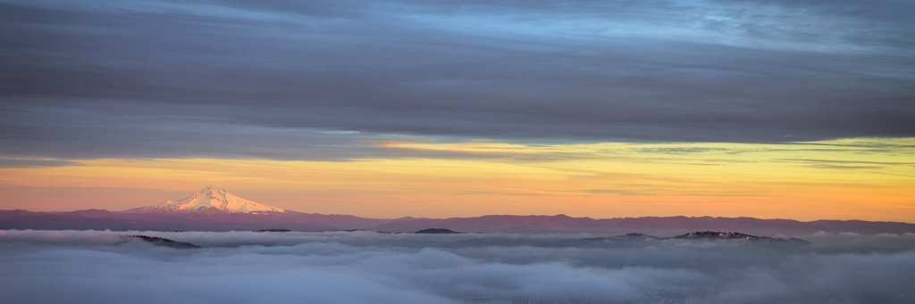 MissVensai's profile banner image