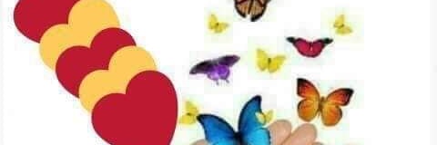 Pepi.G.R. 🌊🌻 banner