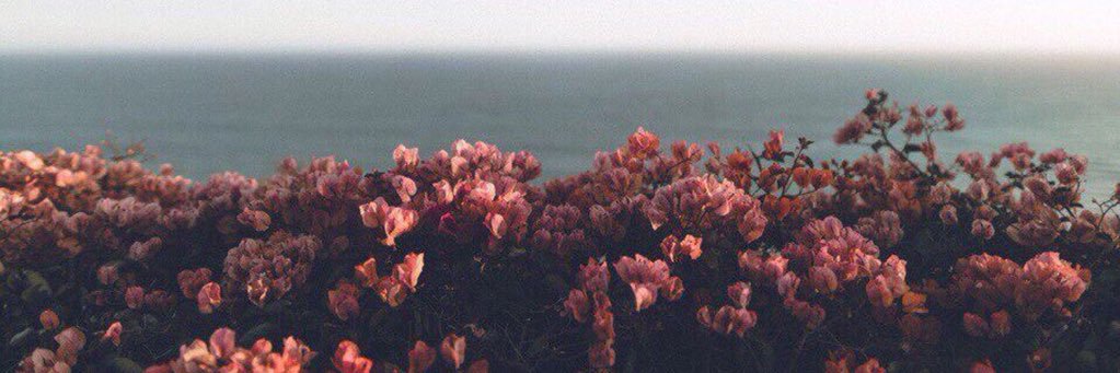 Sinem Coşkun banner