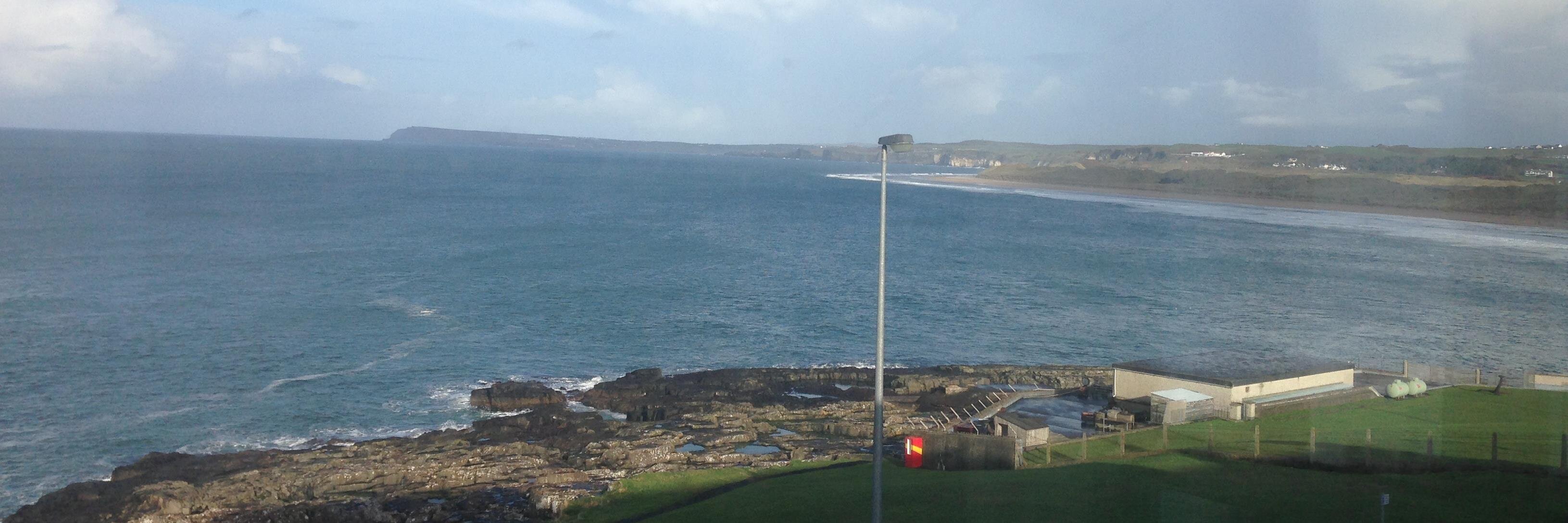 Dr Danielle A. Tucker banner