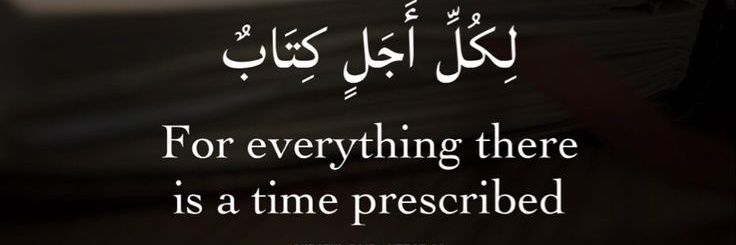 Habibi_teemee's profile banner image