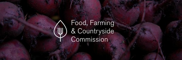 FFC_Commission Profile Banner