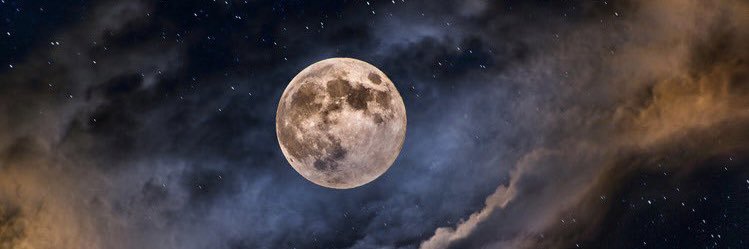 ☆ fearn banner