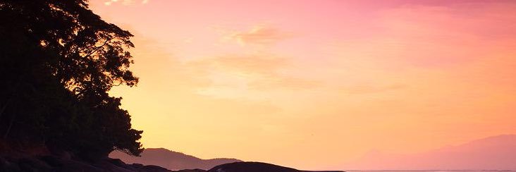 Melissaalgomez's profile banner image