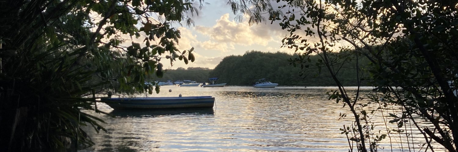 Jean-François Mangot banner