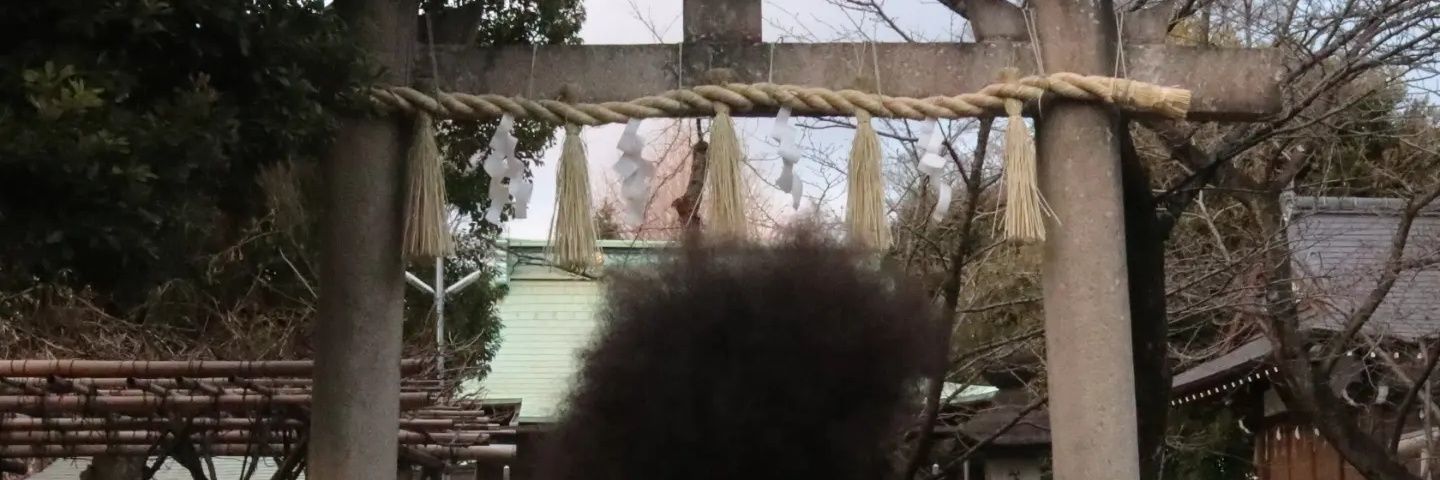 (￣∀￣) Afro Lilo • アフロリロ (￣☐￣) banner