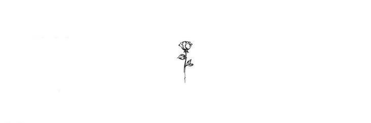 Carlotta_Gas_'s profile banner image