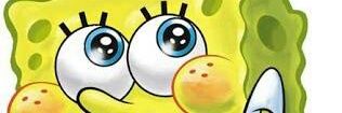 Shavro banner