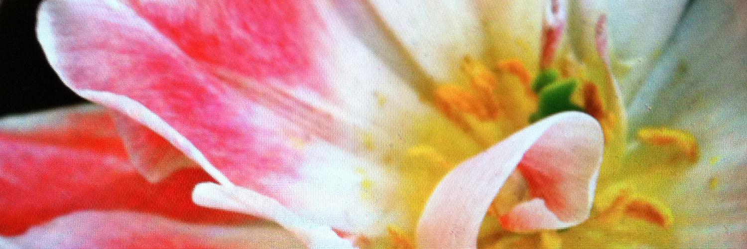 aabalz's profile banner image