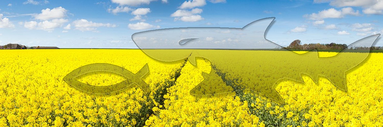 🇺🇦 🆃🅴🅺🅺 🜂 🇪🇺 banner