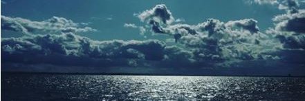 shellydotcom's profile banner image
