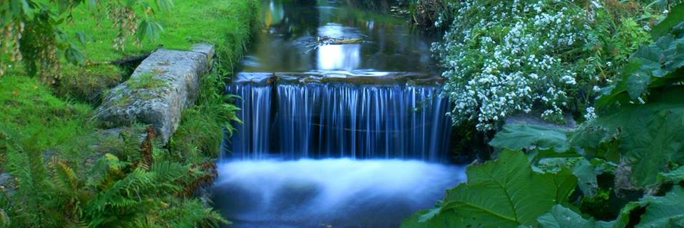 David Buckell banner