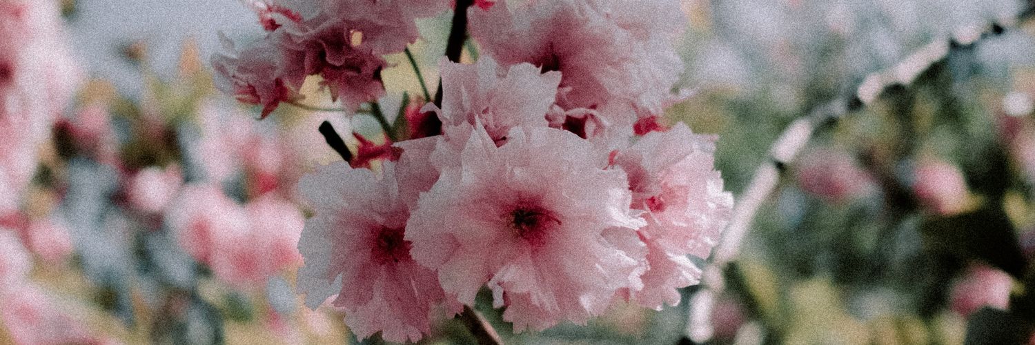 Oli Duncanson banner