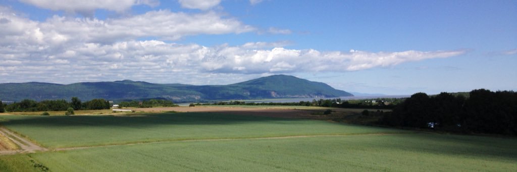 Chantel Crochetiere banner