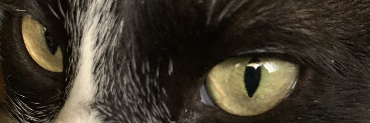 SandraHB97's profile banner image