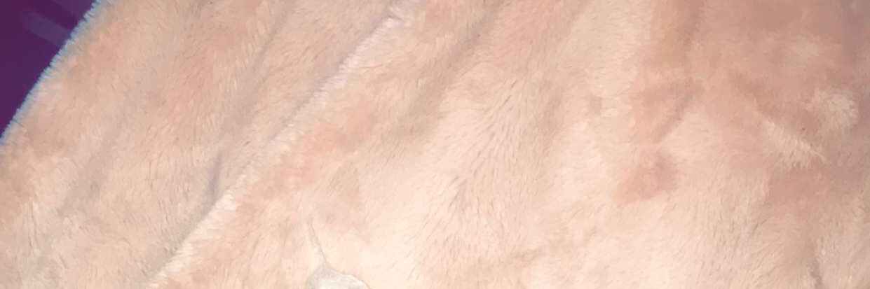 ToolahCN's profile banner image