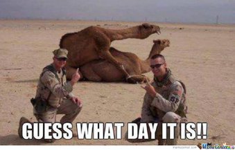 🇺🇦HumpDayHashTags🐫 BLM #VoteBlue 🇺🇦's banner