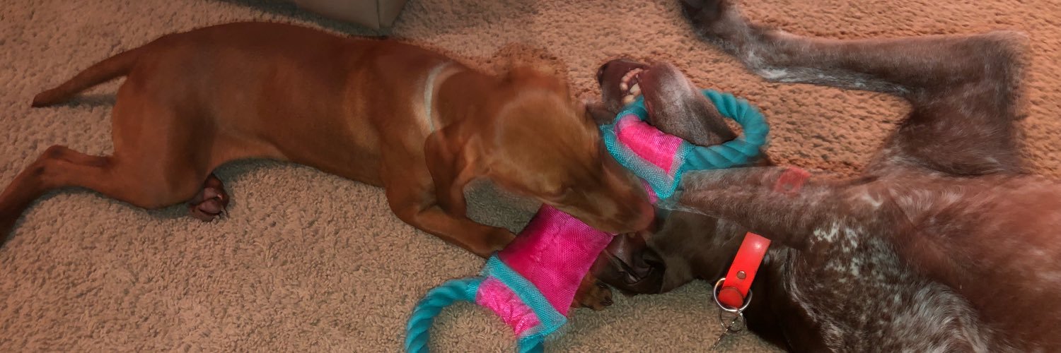 Shannon Emsick banner