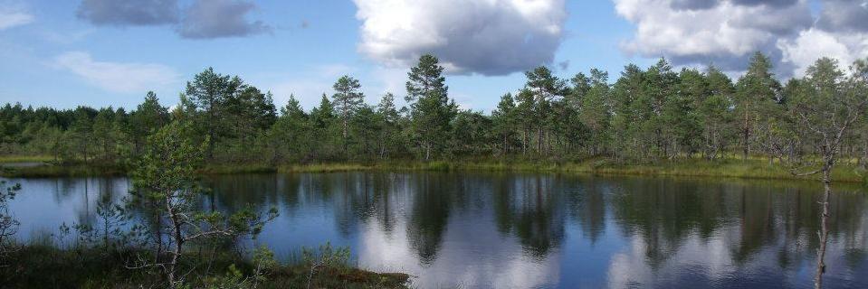 EarthAcumen's profile banner image