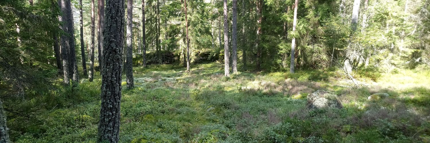 Christian Håkansson banner