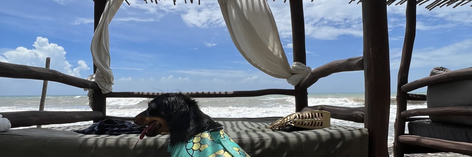 LiNaPoLo's profile banner image