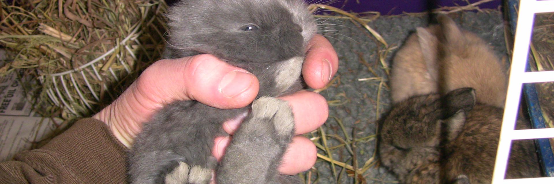 Joe Sacksteder banner