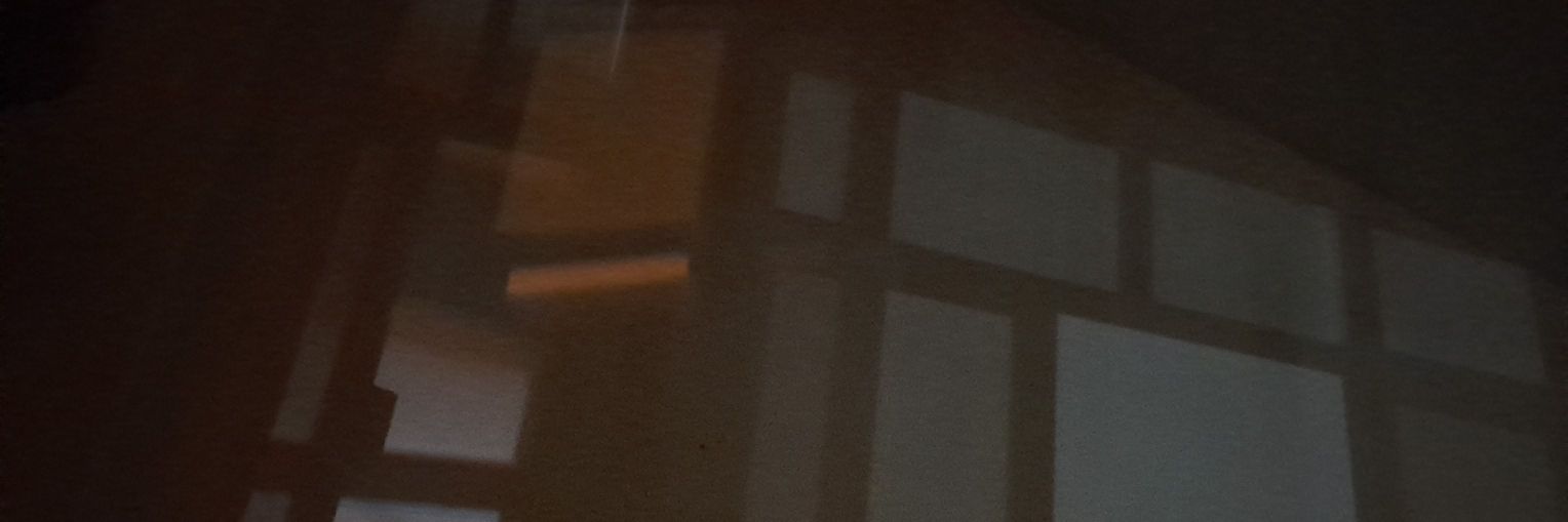 zzridoo's profile banner image