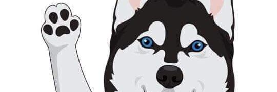 DeboraRamo1's profile banner image