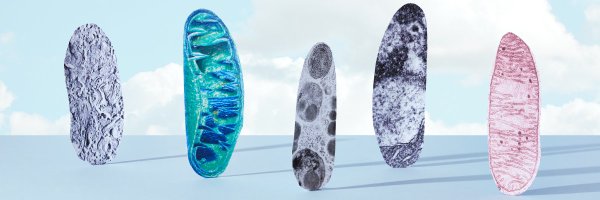 RebeccaHorne500 Profile Banner