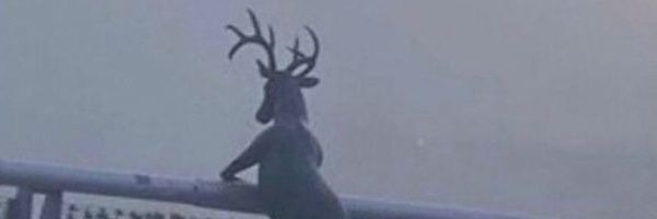 Lozano_95's profile banner image