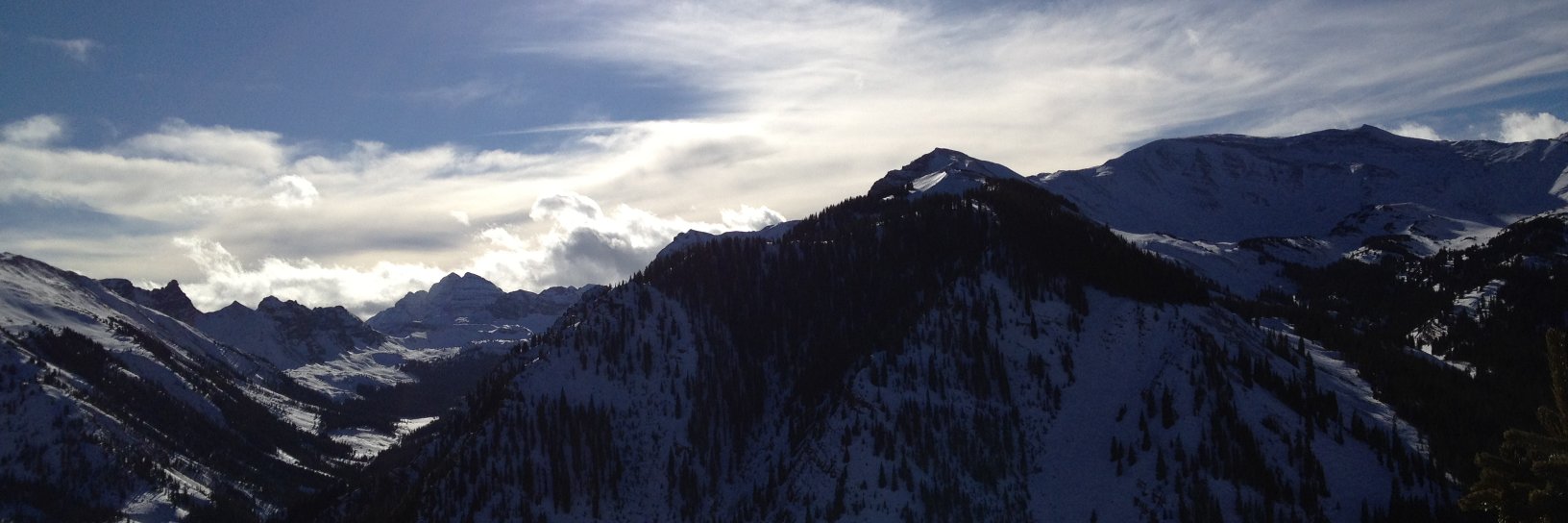 Michaela June Kerrissey banner