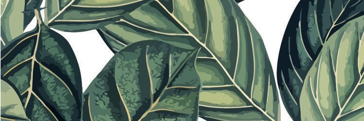 micaelapraOK's profile banner image