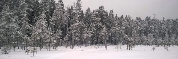 PekkaAanismaa Profile Banner