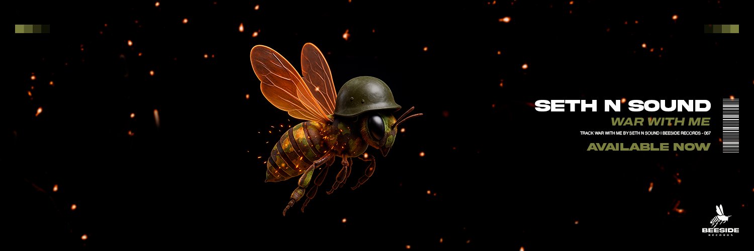 Seth n' Sound banner