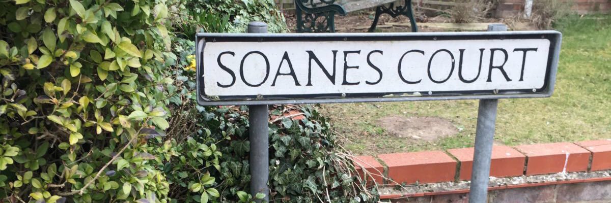 DaniSoanes's profile banner image