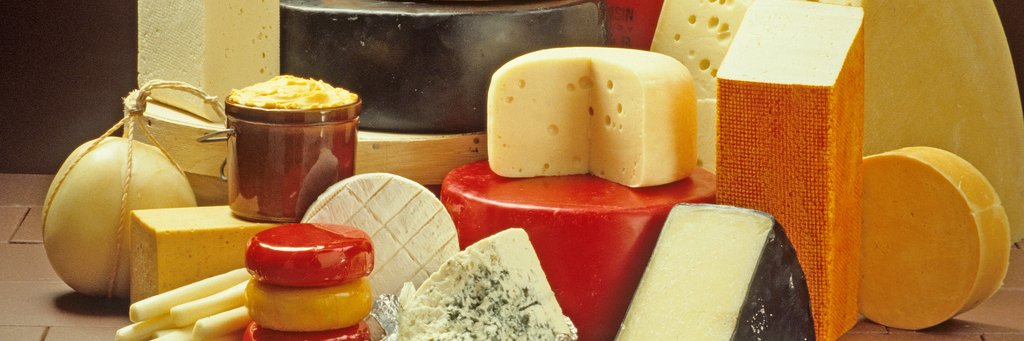 LadyOfCheese's profile banner image