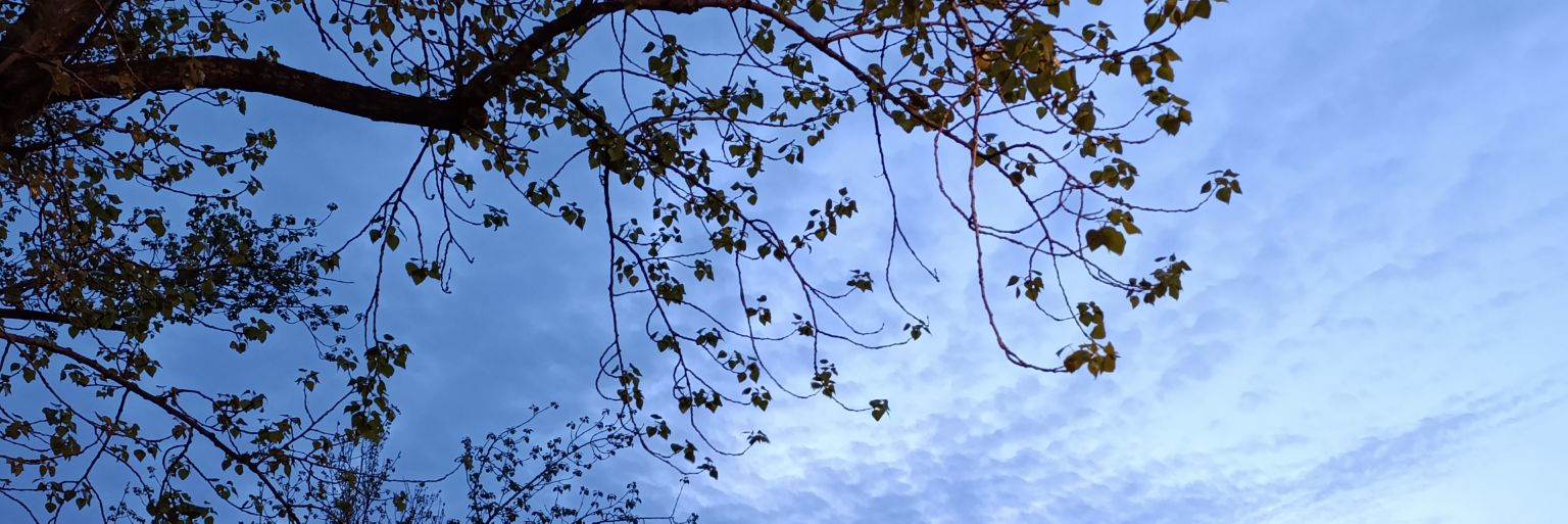 __btsgalaxy's profile banner image