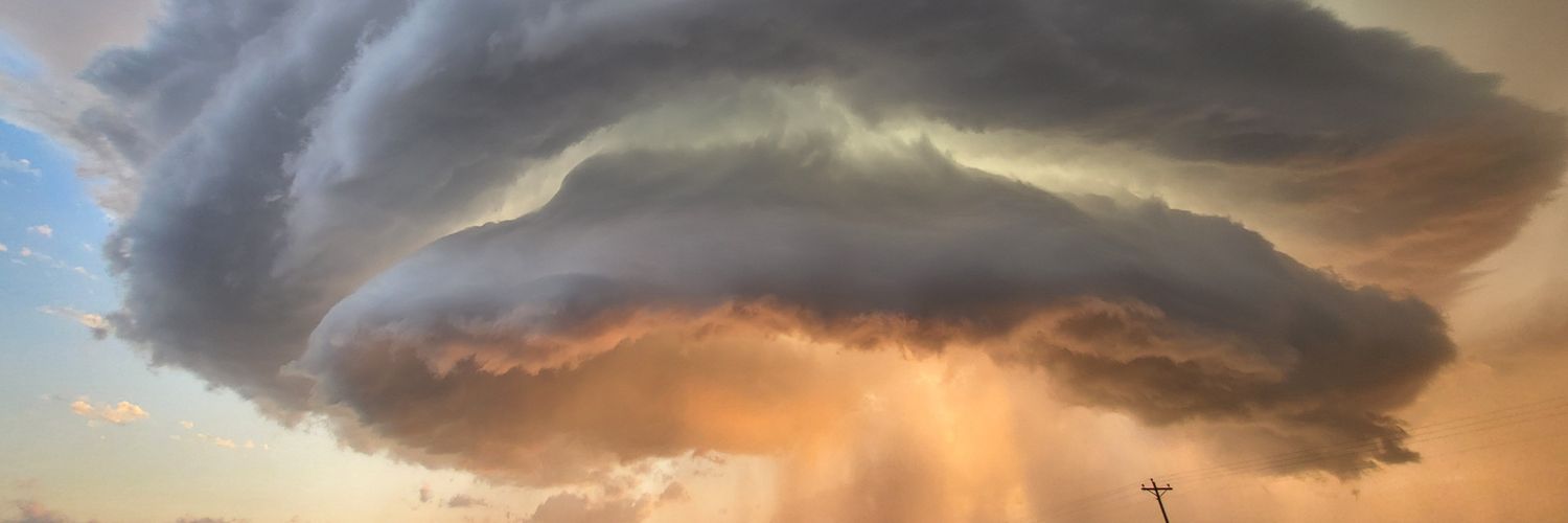 vlynnsutton's profile banner image