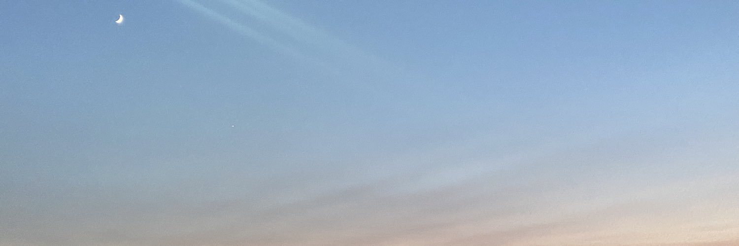 sarahh_wilsonnn's profile banner image