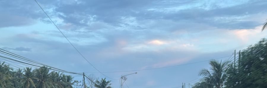Fedrinx's profile banner image
