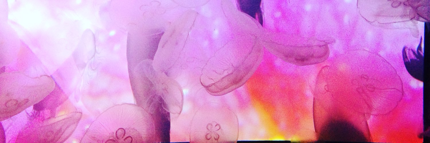 Hamigakiko999's profile banner image