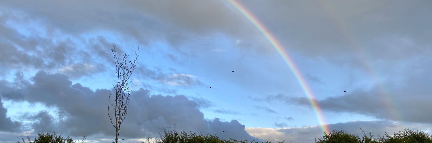 hmedlicott's profile banner image