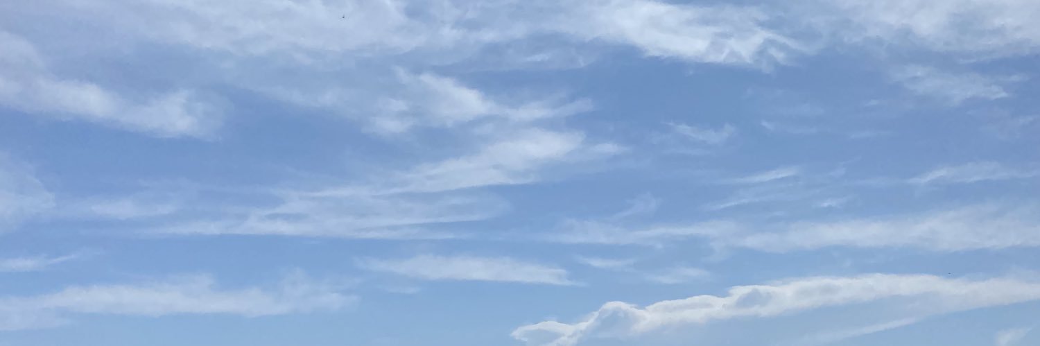 barbarahorowitz's profile banner image
