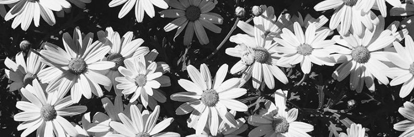 MariaHdez99's profile banner image